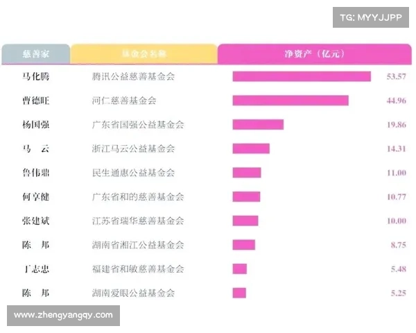 广州慈善单位五星榜单的特色与影响力分析 广州慈善单位五星榜单的特色与影响力分析